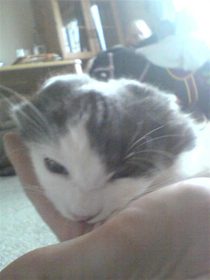 Blanding af racer Klunte Kragsig Nielsen - Mig og far slåser vildt. blev faktsik lidt sur tilsidst billede 19