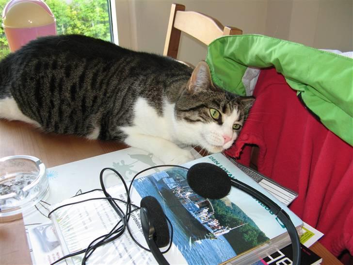 Huskat Beauty - Åhh dufter af mor. Det er lykken. billede 4