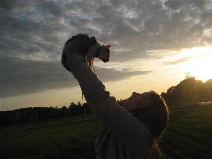 Huskat Muddie - R.I.P :´( - Sygt! Billed ! billede 5