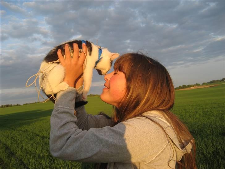 Huskat Muddie - R.I.P :´( - Muddie er bare dejlig billede 9