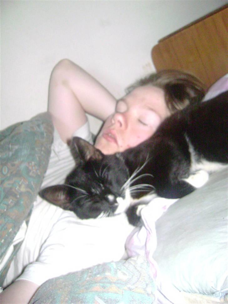 Huskat Sorte DØD billede 18