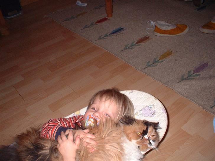 Perser la bool`s stinne billede 9