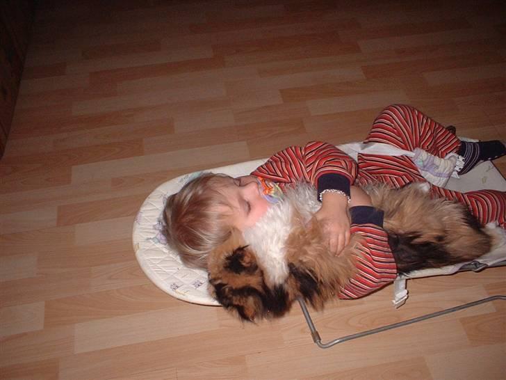 Perser la bool`s stinne billede 10