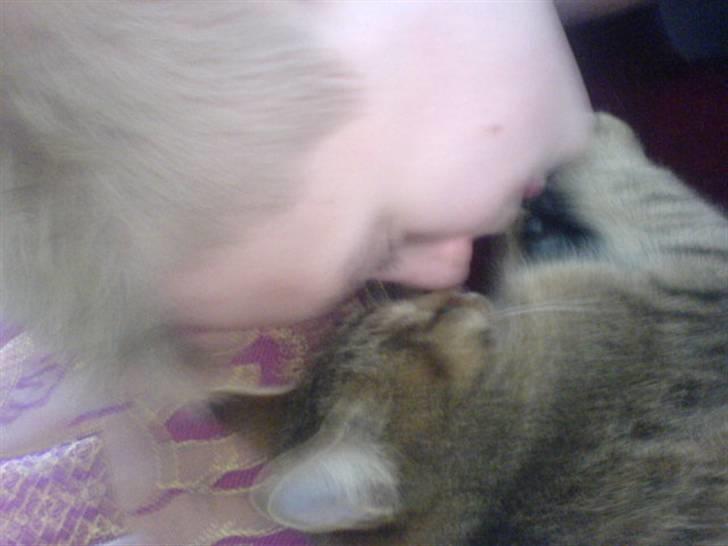 Huskat Perle - mig og Perle der ´´Kysser´´ billede 14