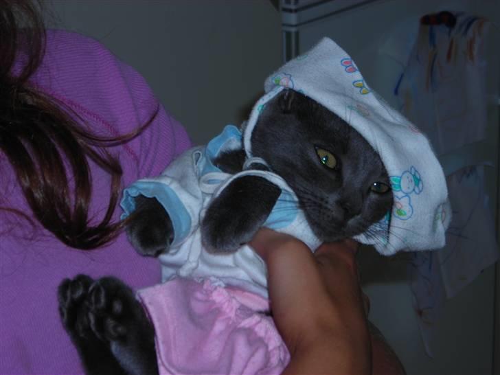 Huskat Mi  - Nårh hvor er hun sød,.. billede 5