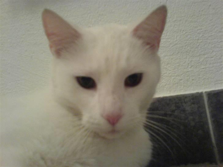 Blanding af racer Amanda <3 - på badeværelset :D<3 billede 7