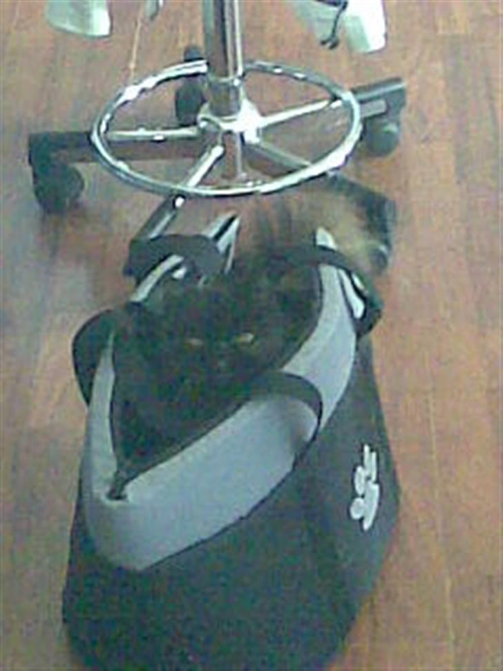 Perser Sasja - orv... der var en der tog et billed billede 11