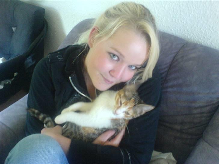 Blanding af racer Felia billede 17