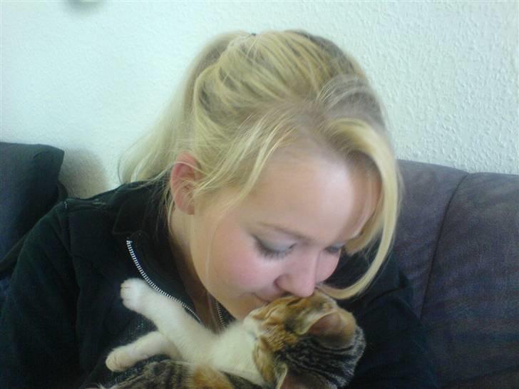 Blanding af racer Felia billede 18