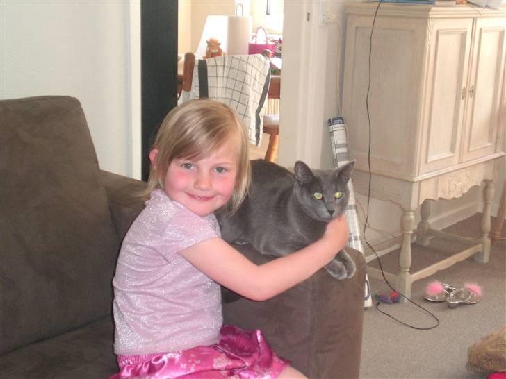 Russian Blue Zelda - Min lillesøster & Zeldus XD billede 10