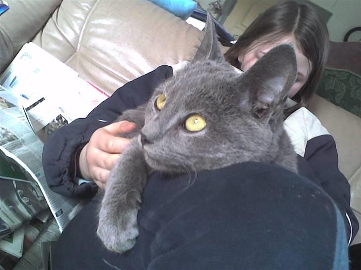 Huskat Sofabamsen **I Himlen** billede 10