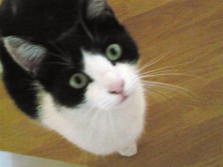 {{currentPhoto.altText}} billede {{currentPhoto.number}}