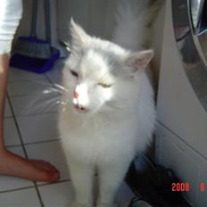 Blanding af racer Frede