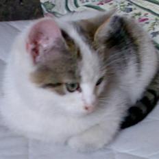 Huskat Basse <3 † R.I.P. †