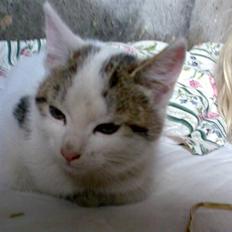 Huskat Basse <3 † R.I.P. †