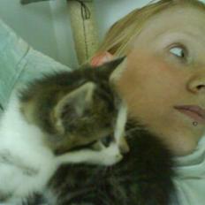 Huskat Trine's James 