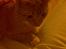 Huskat Silke R.I.P ;'(
