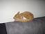 Huskat Silke R.I.P ;'(