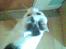 Huskat Nickey