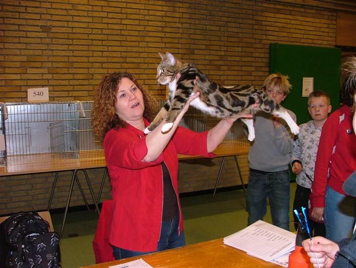 Huskat B Tween U'N Me (SOLGT) billede 18