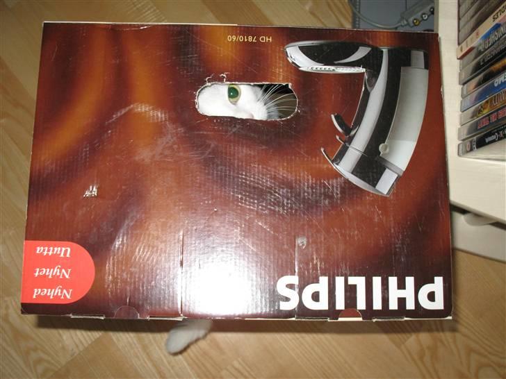 Huskat Armani billede 17