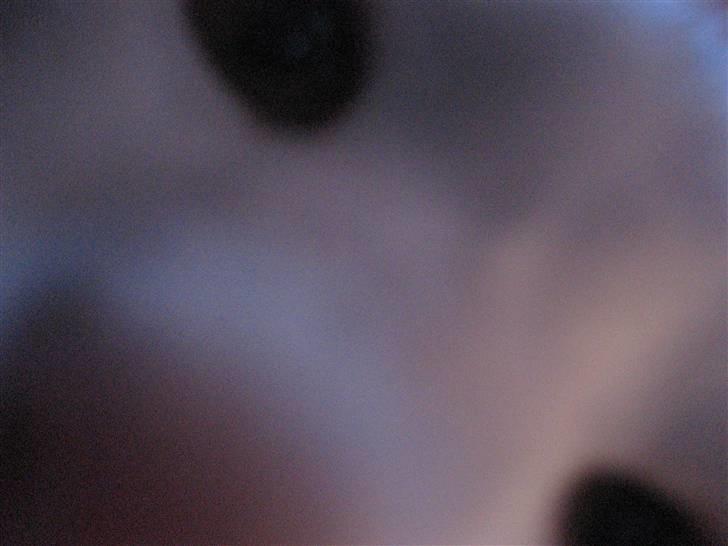 Huskat Mis - Hvad er det du har der? billede 4