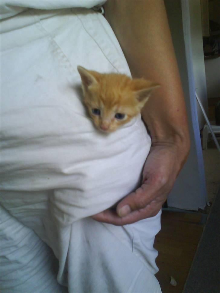 Huskat gaffe billede 7