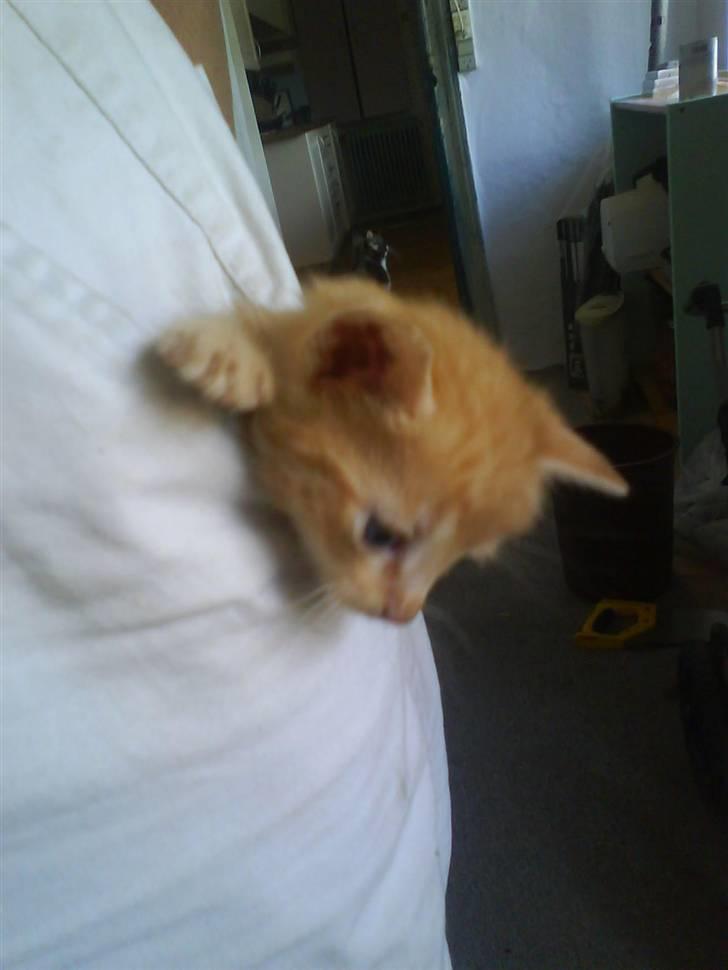 Huskat gaffe billede 8