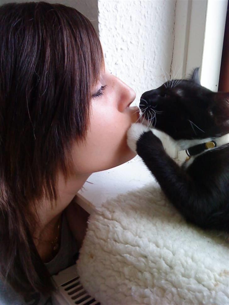 Blanding af racer $-Princess-$ billede 4