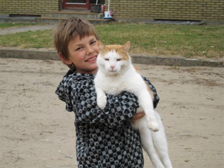 Blanding af racer mis R.I.P billede 7