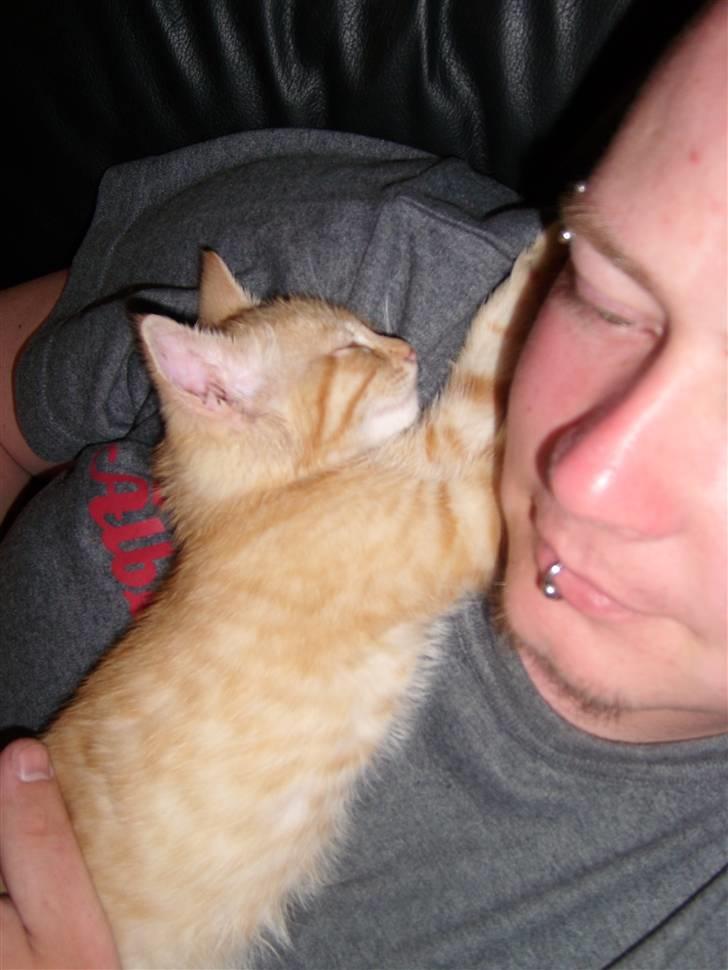 Blanding af racer Axl Rose - Putter med min nye farmand billede 7