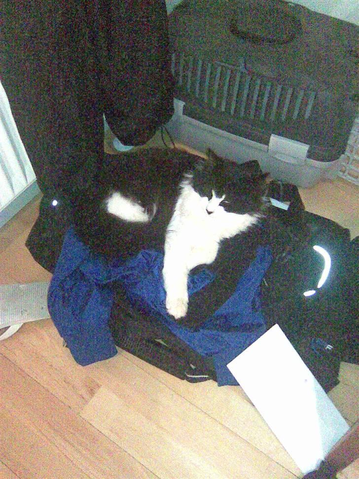 Huskat Pepsi - Lidt afslapning oven på sportstasken skal der også være plads til..  billede 5