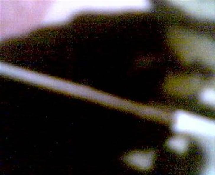 Huskat Fister billede 4