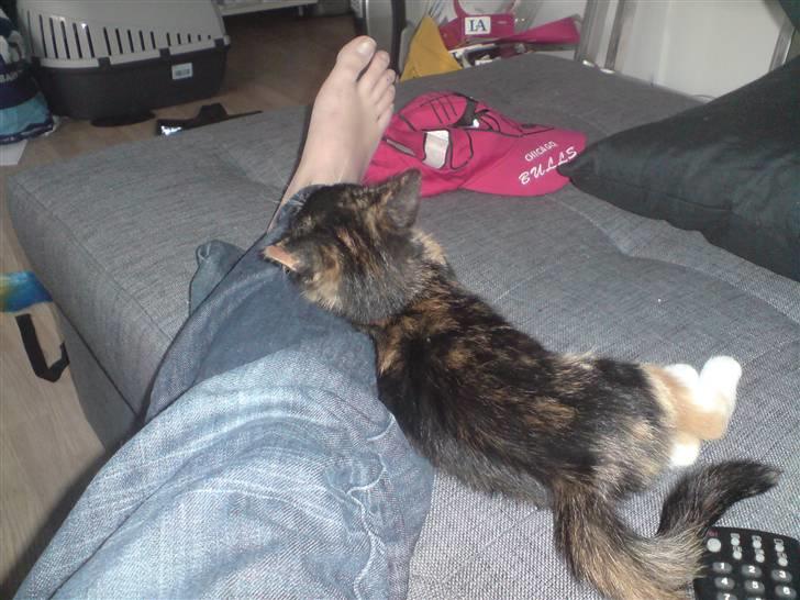 Huskat Sahara - Tager mig lige en slapper sammen med mor. billede 8