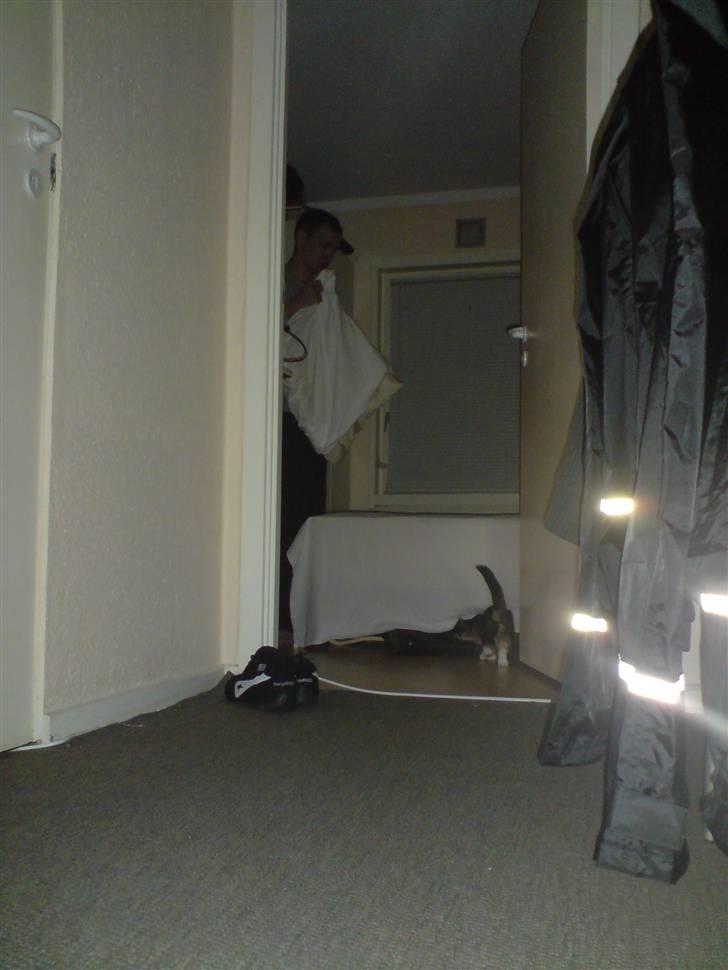 Huskat Sahara - Hvad har far under sin seng?? billede 9