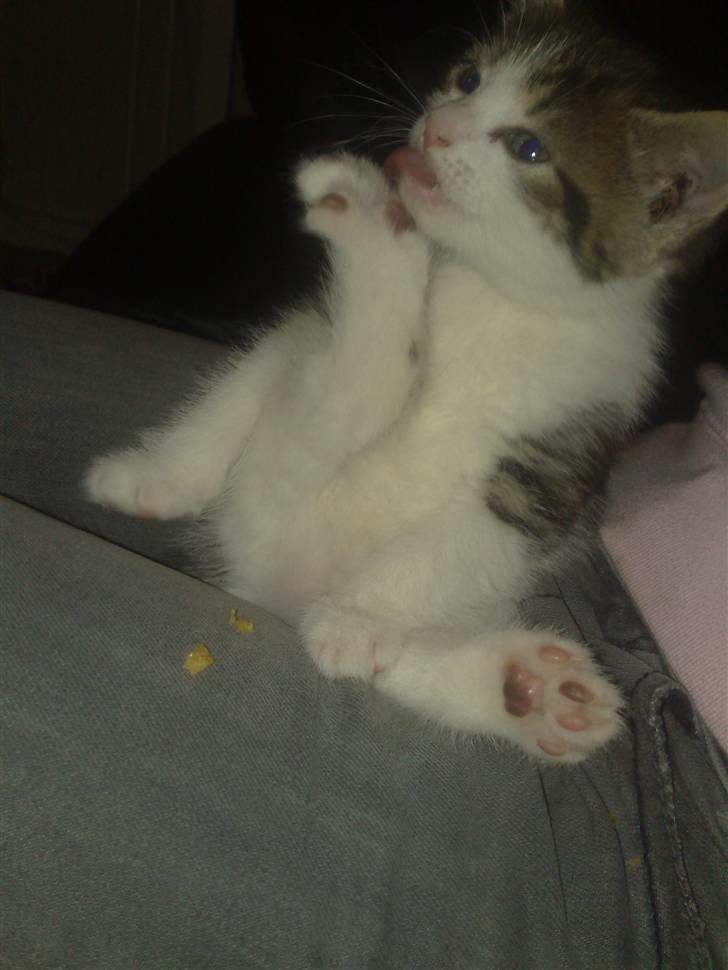 Huskat spot - aargh næsten overbalance. billede 4