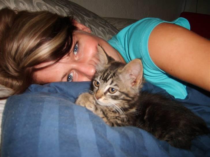 Huskat Mushu billede 8