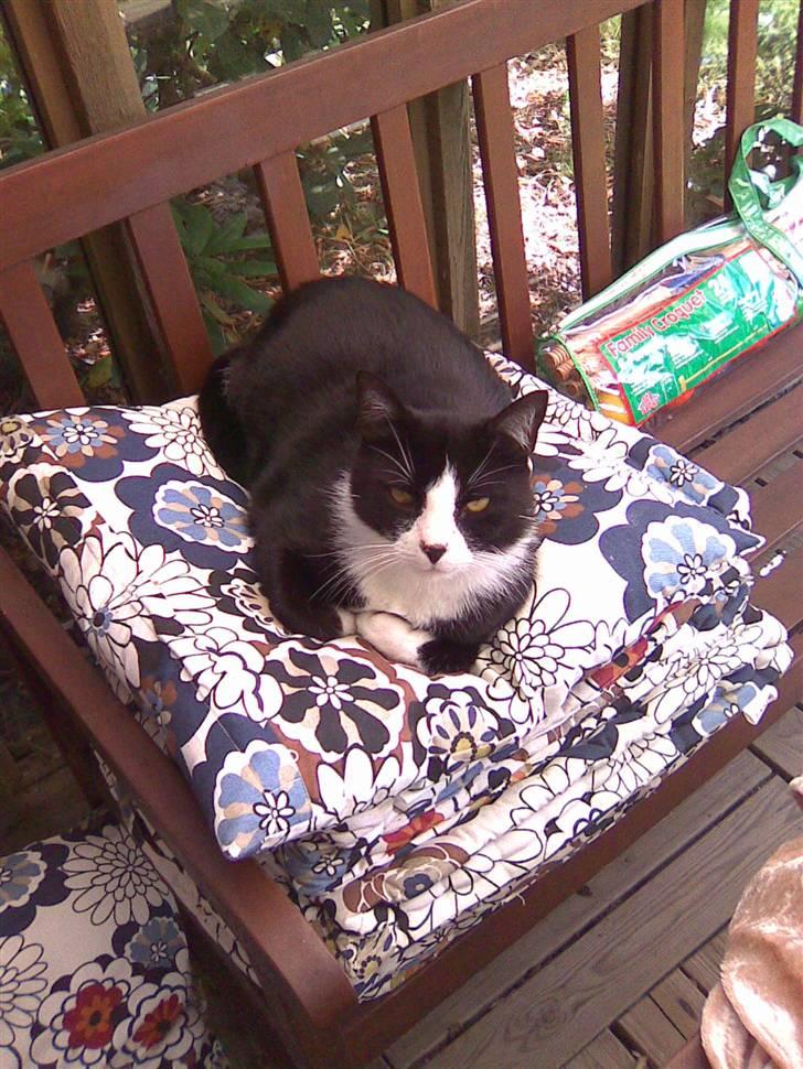 Huskat Snoffy :) billede 7