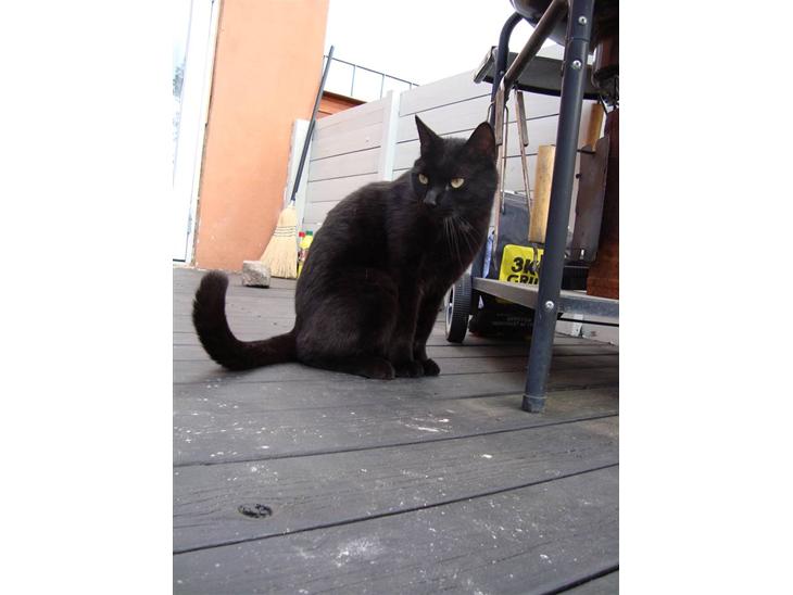 {{currentPhoto.altText}} billede {{currentPhoto.number}}