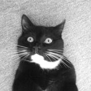 Blanding af racer Hulk