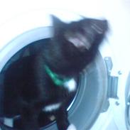 Blanding af racer Hulk