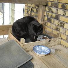 Blanding af racer silke