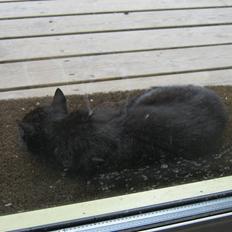 Blanding af racer silke