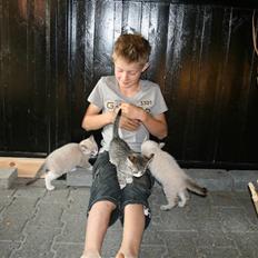 Blanding af racer Bailey DØD :'(