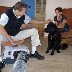 Blanding af racer mille