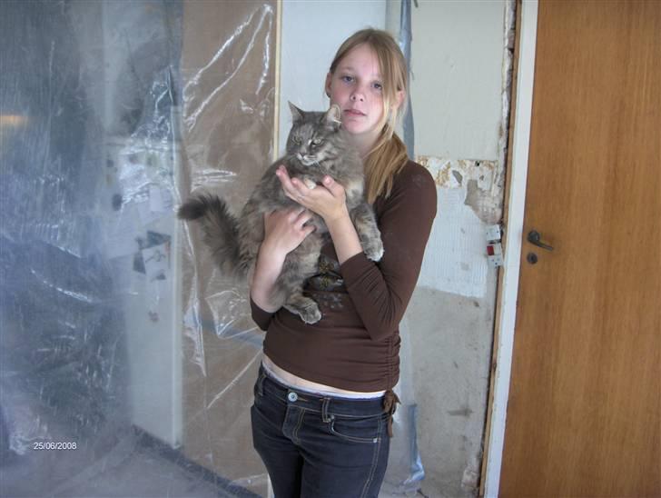 Maine Coon Lucky *DØD* - Taget d.25 juni-08. Lucky og jeg. billede 6