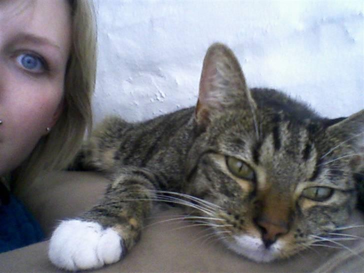 Huskat Miss Tarzan billede 1