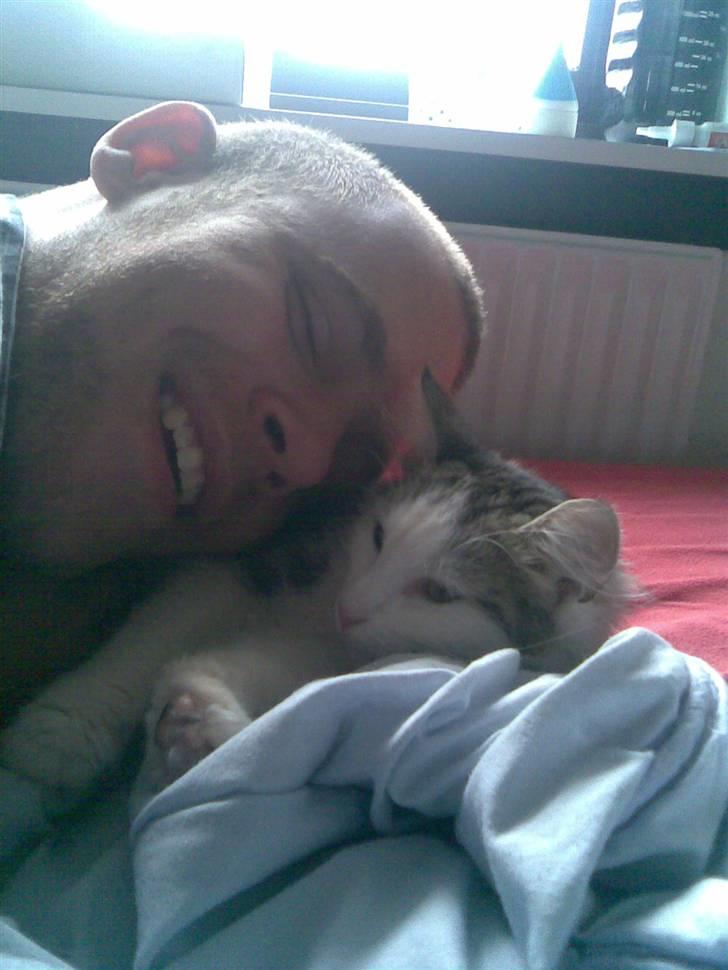 Norsk Skovkat Trille - MIn far og jeg, vi er de bedste venner :D billede 17