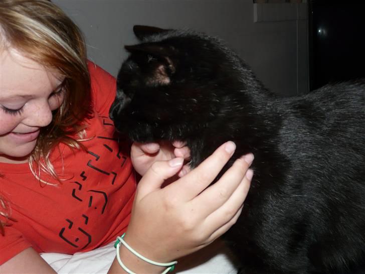 Huskat Laban. - KYS MIG. :* billede 3