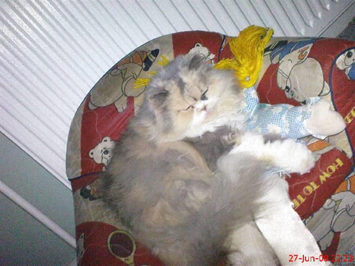 Perser pige - jeg ville sove nu :) billede 3